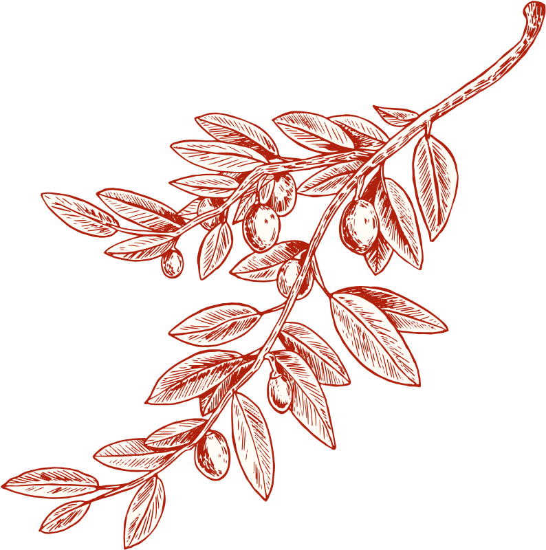 Décor haut droite